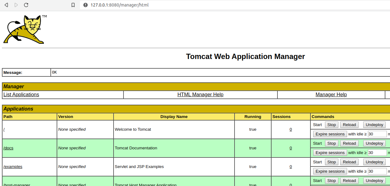accessing the tomcat manager